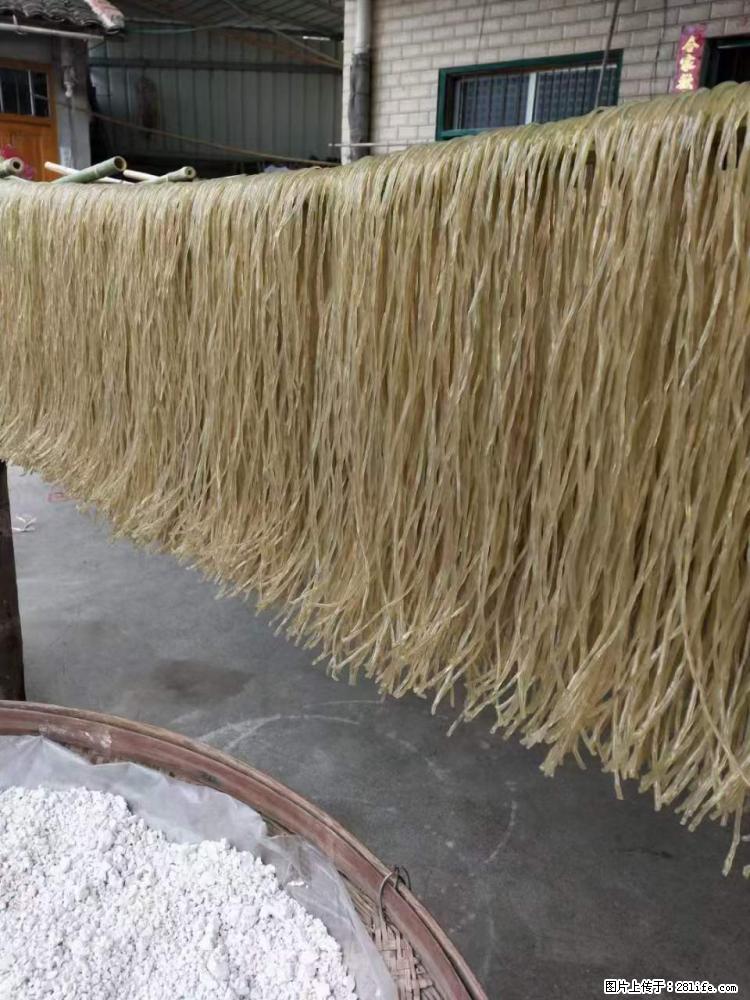 【灌阳正宗红薯粉】美女家里自己做的,干净卫生,假一赔十,价格合理,抢购电话:13737312895 - 美食天地 - 固原生活社区 - 固原28生活网 guyuan.28life.com