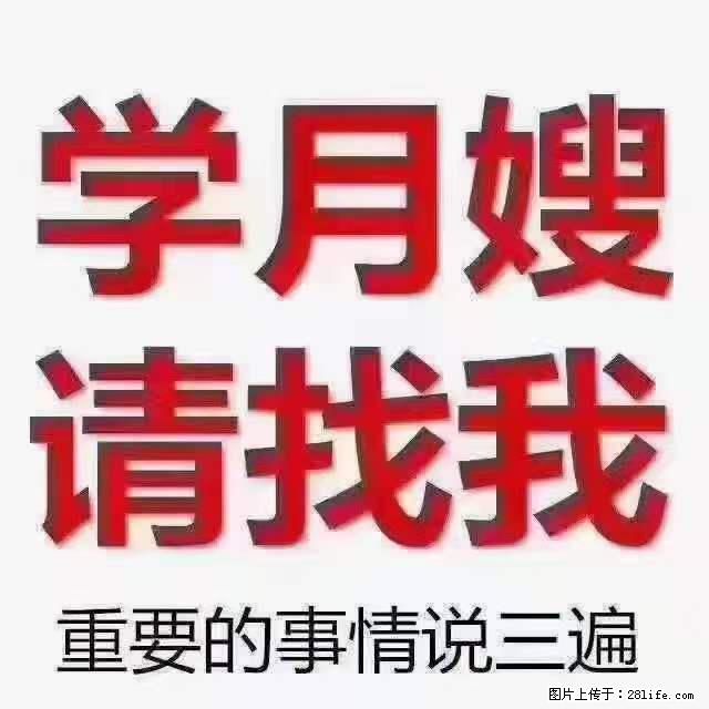 为什么要学习月嫂,育婴师? - 其他广告 - 广告专区 - 固原分类信息 - 固原28生活网 guyuan.28life.com