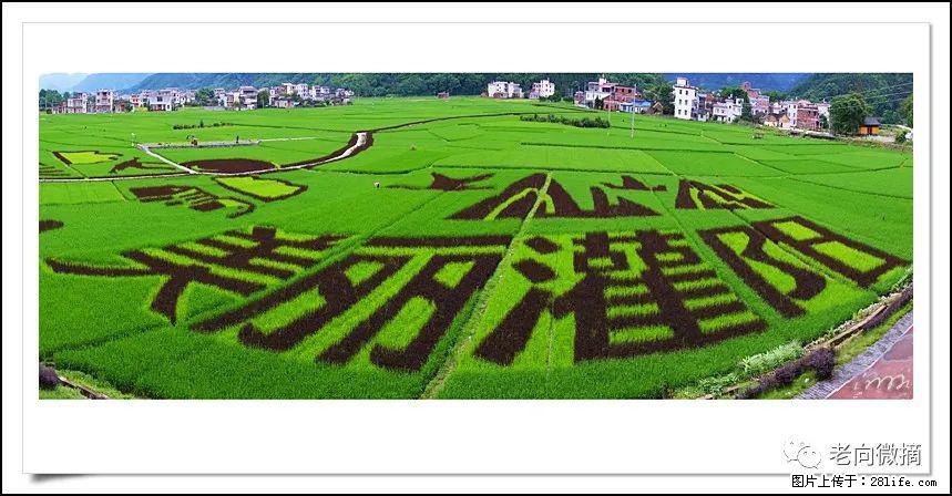 【春天，广西桂林灌阳县向您发出邀请！】开篇 - 游山玩水 - 固原生活社区 - 固原28生活网 guyuan.28life.com