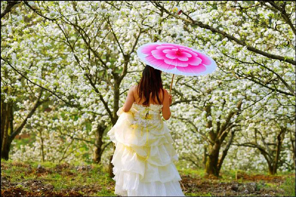 【春天，广西桂林灌阳县向您发出邀请！】我们在灌阳看梨花 - 游山玩水 - 固原生活社区 - 固原28生活网 guyuan.28life.com