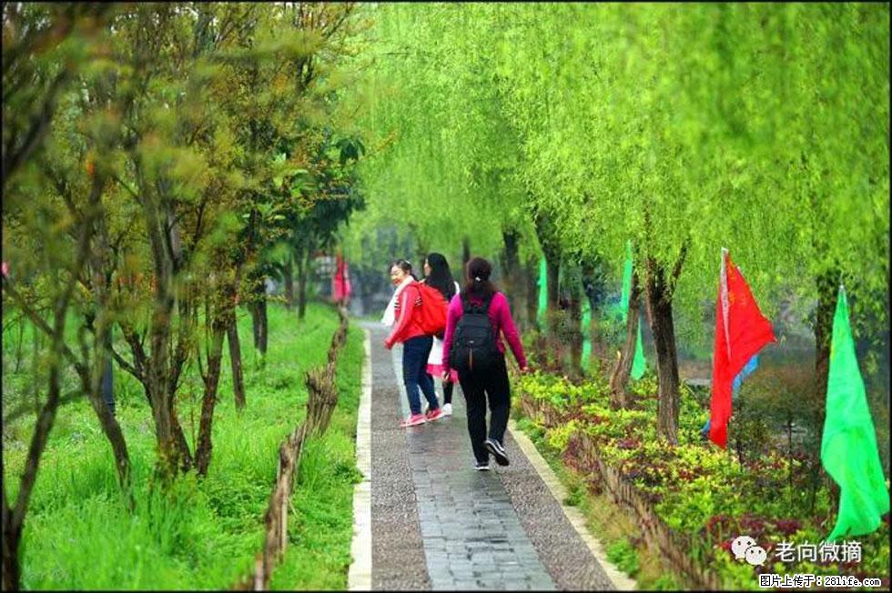 【春天，广西桂林灌阳县向您发出邀请！】江口老街又逢春 - 游山玩水 - 固原生活社区 - 固原28生活网 guyuan.28life.com