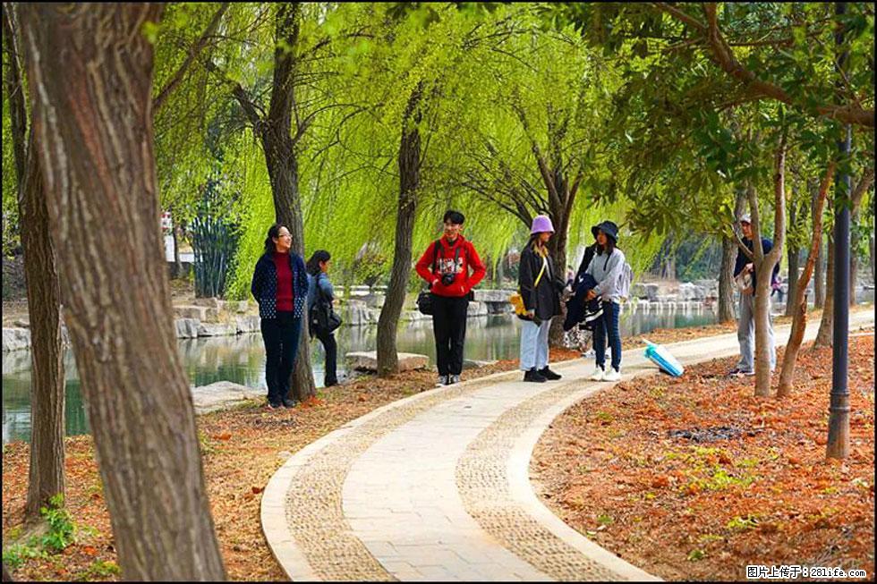 【春天，广西桂林灌阳县向您发出邀请！】江口老街又逢春 - 游山玩水 - 固原生活社区 - 固原28生活网 guyuan.28life.com