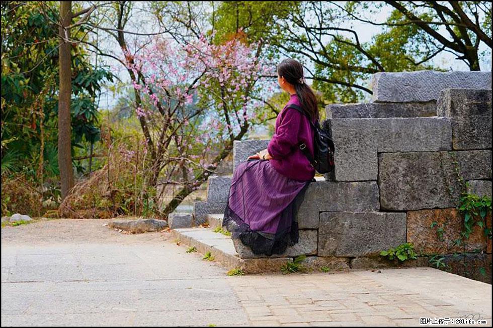 【春天，广西桂林灌阳县向您发出邀请！】江口老街又逢春 - 游山玩水 - 固原生活社区 - 固原28生活网 guyuan.28life.com