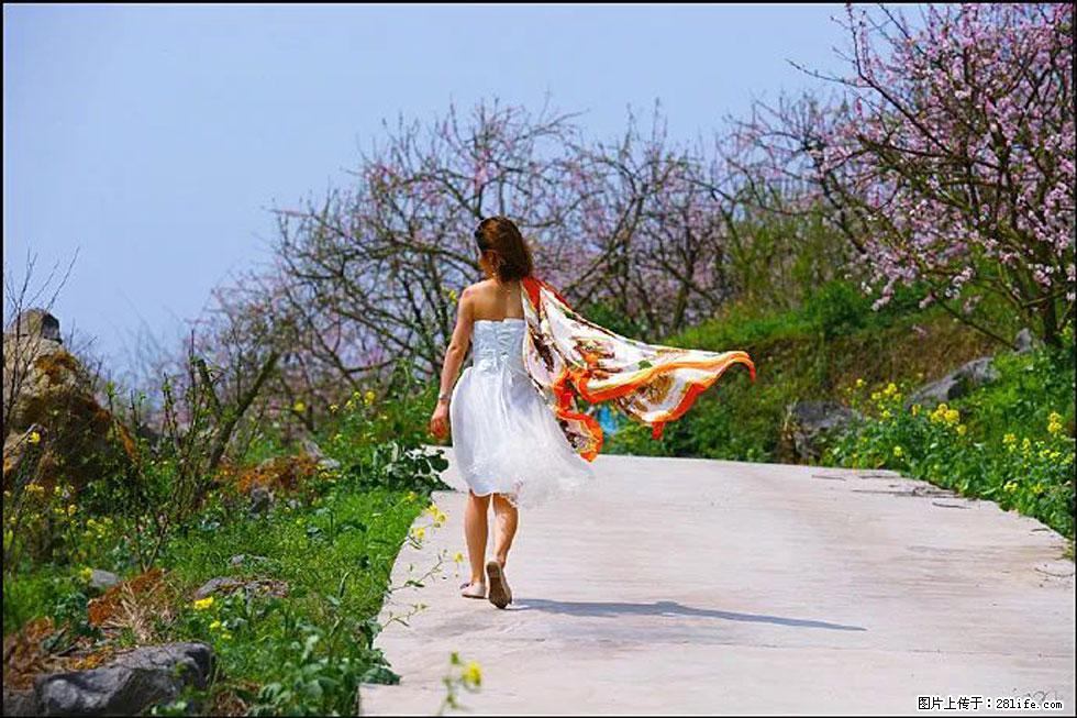 【春天，广西桂林灌阳县向您发出邀请！】望月岭上桃花开 - 游山玩水 - 固原生活社区 - 固原28生活网 guyuan.28life.com