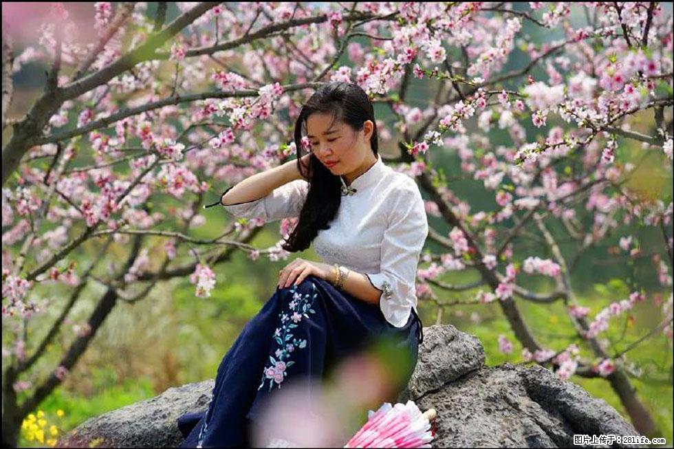 【春天，广西桂林灌阳县向您发出邀请！】望月岭上桃花开 - 游山玩水 - 固原生活社区 - 固原28生活网 guyuan.28life.com