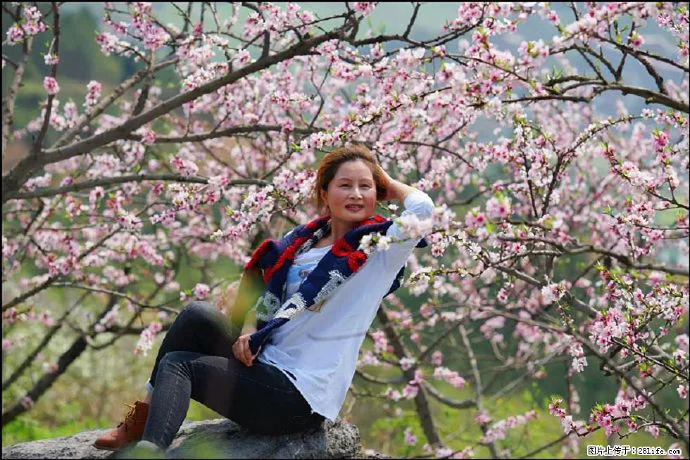 【春天，广西桂林灌阳县向您发出邀请！】望月岭上桃花开 - 游山玩水 - 固原生活社区 - 固原28生活网 guyuan.28life.com