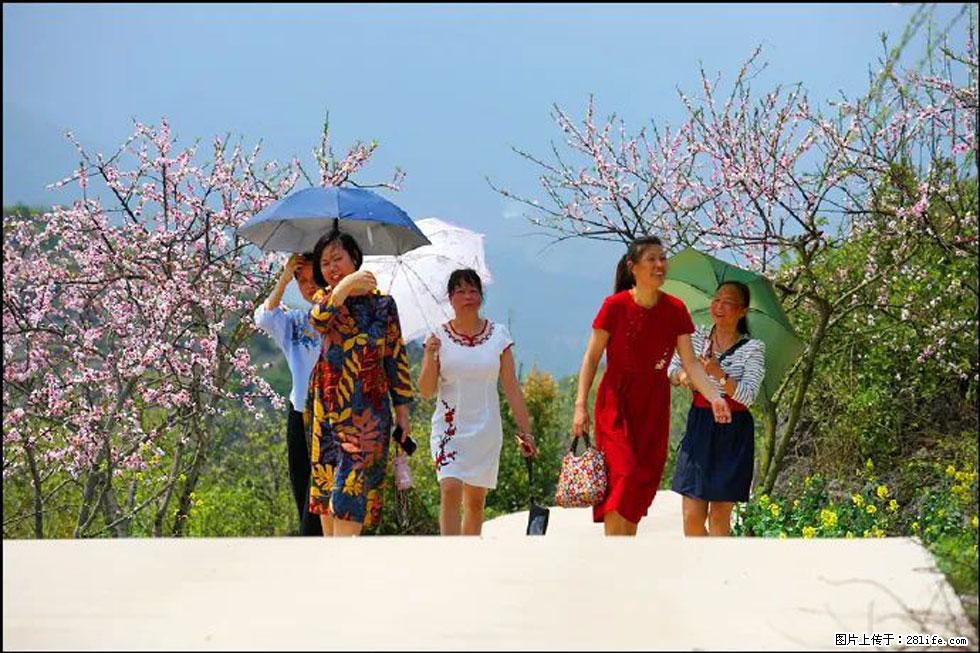 【春天，广西桂林灌阳县向您发出邀请！】望月岭上桃花开 - 游山玩水 - 固原生活社区 - 固原28生活网 guyuan.28life.com