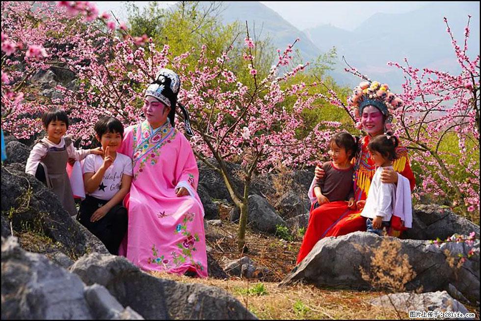 【春天，广西桂林灌阳县向您发出邀请！】望月岭上桃花开 - 游山玩水 - 固原生活社区 - 固原28生活网 guyuan.28life.com