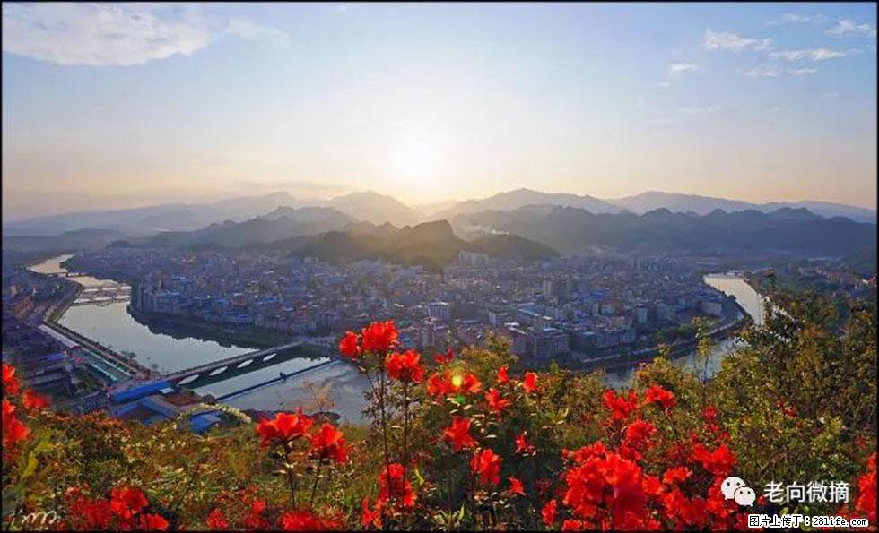 【春天,广西桂林灌阳县向您发出邀请!】登麒麟山,相约映山红 - 游山玩水 - 固原生活社区 - 固原28生活网 guyuan.28life.com