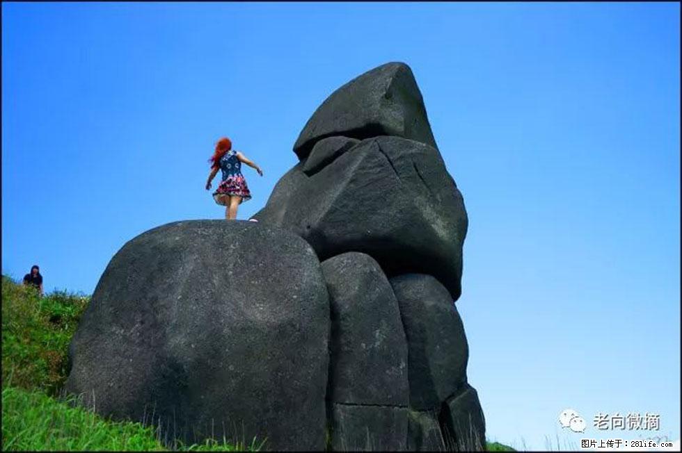 【春天，广西桂林灌阳县向您发出邀请！】宝盖山上映山红 - 游山玩水 - 固原生活社区 - 固原28生活网 guyuan.28life.com