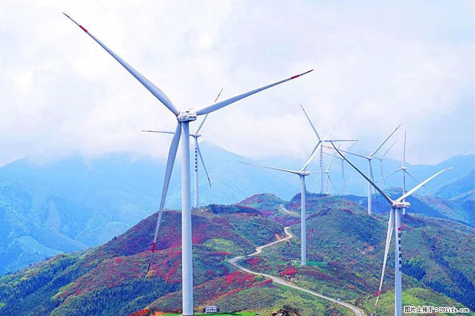 【春天，广西桂林灌阳县向您发出邀请！】春木界上映山红 - 游山玩水 - 固原生活社区 - 固原28生活网 guyuan.28life.com