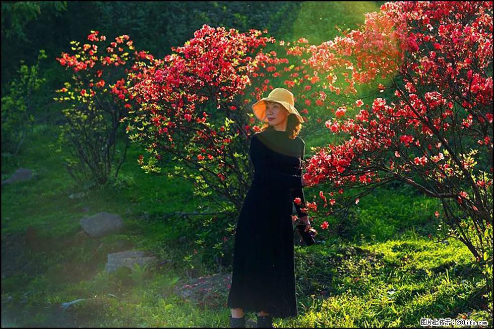 【春天，广西桂林灌阳县向您发出邀请！】春木界上映山红 - 游山玩水 - 固原生活社区 - 固原28生活网 guyuan.28life.com