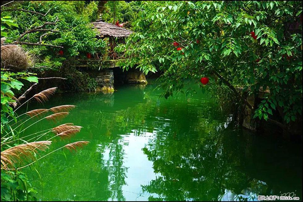 【春天,广西桂林灌阳县向您发出邀请!】如梦似幻莲溪庐 - 游山玩水 - 固原生活社区 - 固原28生活网 guyuan.28life.com