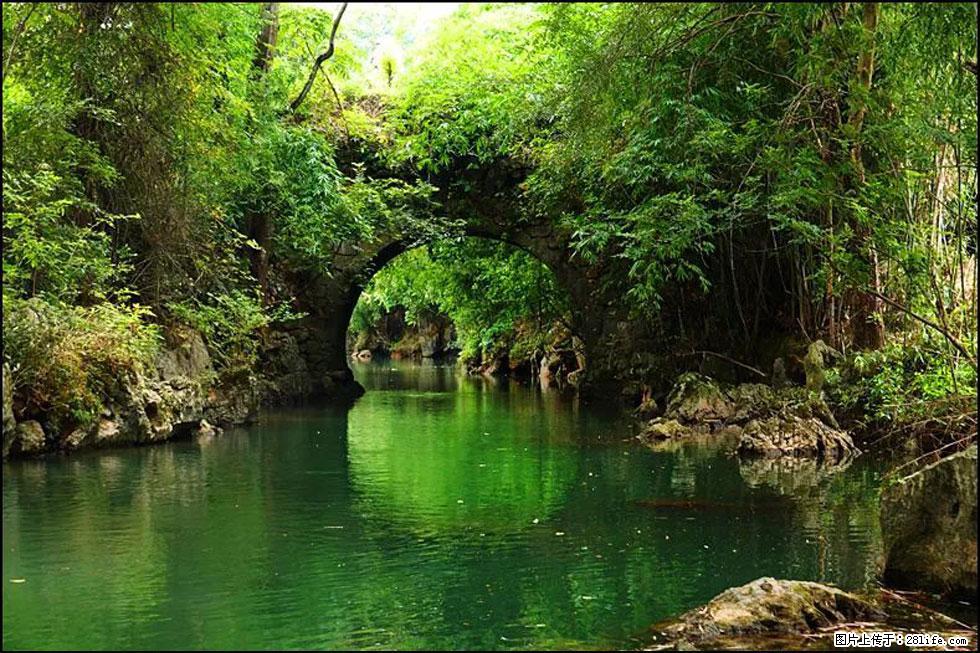 【春天,广西桂林灌阳县向您发出邀请!】如梦似幻莲溪庐 - 游山玩水 - 固原生活社区 - 固原28生活网 guyuan.28life.com