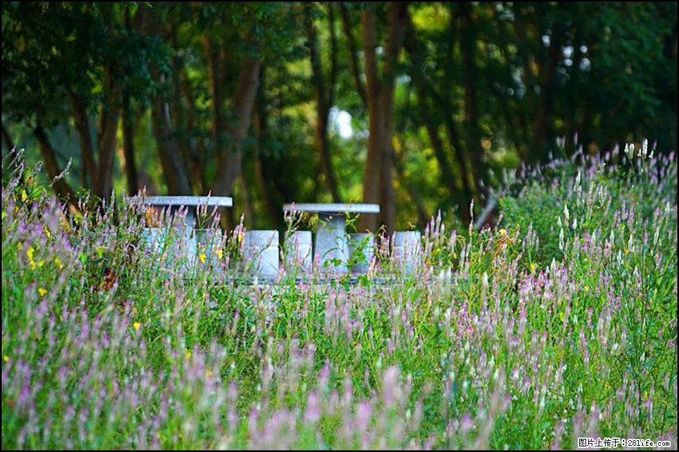 【春天,广西桂林灌阳县向您发出邀请!】熊家寨湿地公园 - 游山玩水 - 固原生活社区 - 固原28生活网 guyuan.28life.com