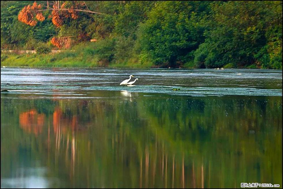 【春天,广西桂林灌阳县向您发出邀请!】熊家寨湿地公园 - 游山玩水 - 固原生活社区 - 固原28生活网 guyuan.28life.com