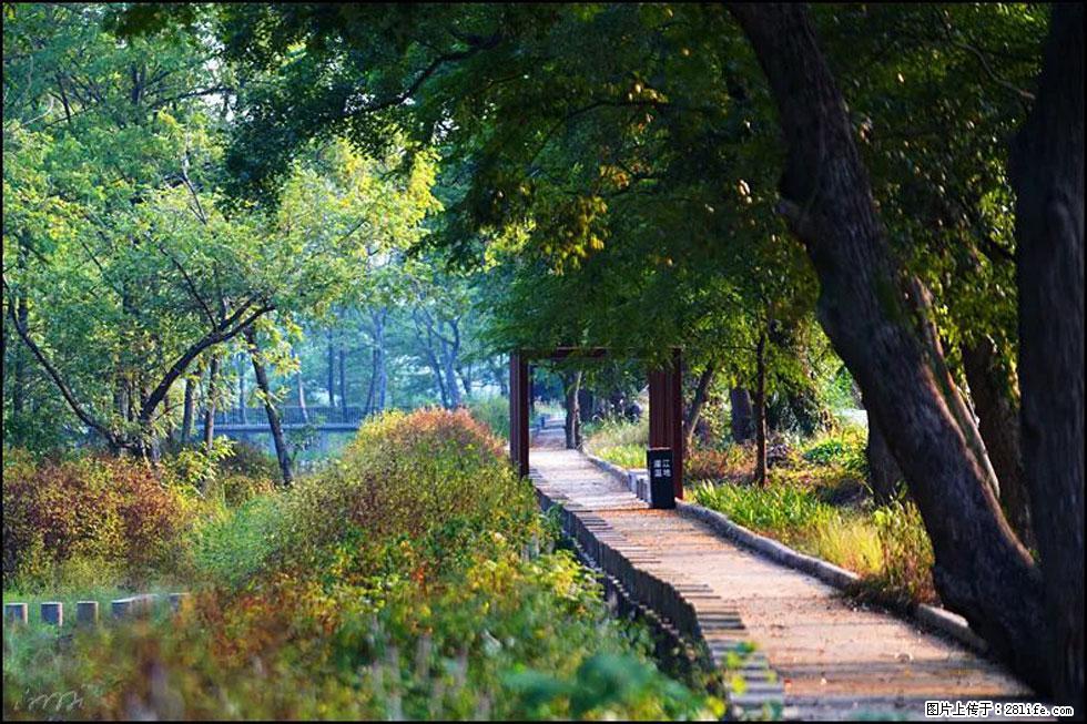 【春天,广西桂林灌阳县向您发出邀请!】熊家寨湿地公园 - 游山玩水 - 固原生活社区 - 固原28生活网 guyuan.28life.com