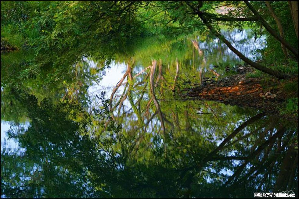 【春天,广西桂林灌阳县向您发出邀请!】熊家寨湿地公园 - 游山玩水 - 固原生活社区 - 固原28生活网 guyuan.28life.com