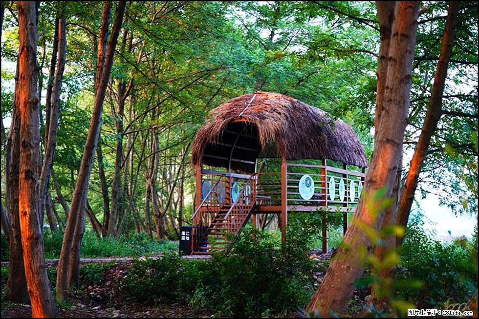 【春天,广西桂林灌阳县向您发出邀请!】熊家寨湿地公园 - 游山玩水 - 固原生活社区 - 固原28生活网 guyuan.28life.com