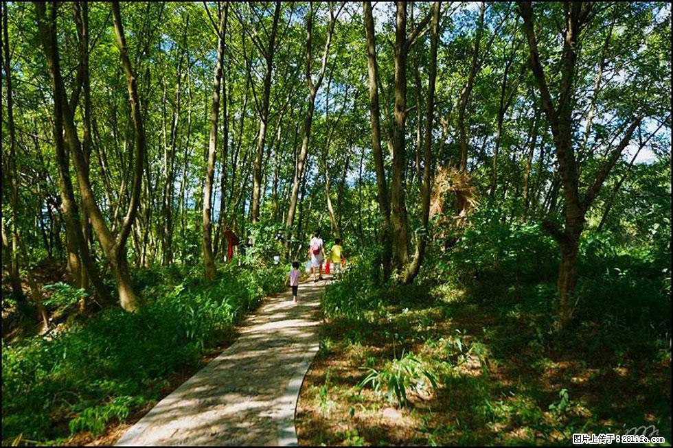 【春天,广西桂林灌阳县向您发出邀请!】熊家寨湿地公园 - 游山玩水 - 固原生活社区 - 固原28生活网 guyuan.28life.com