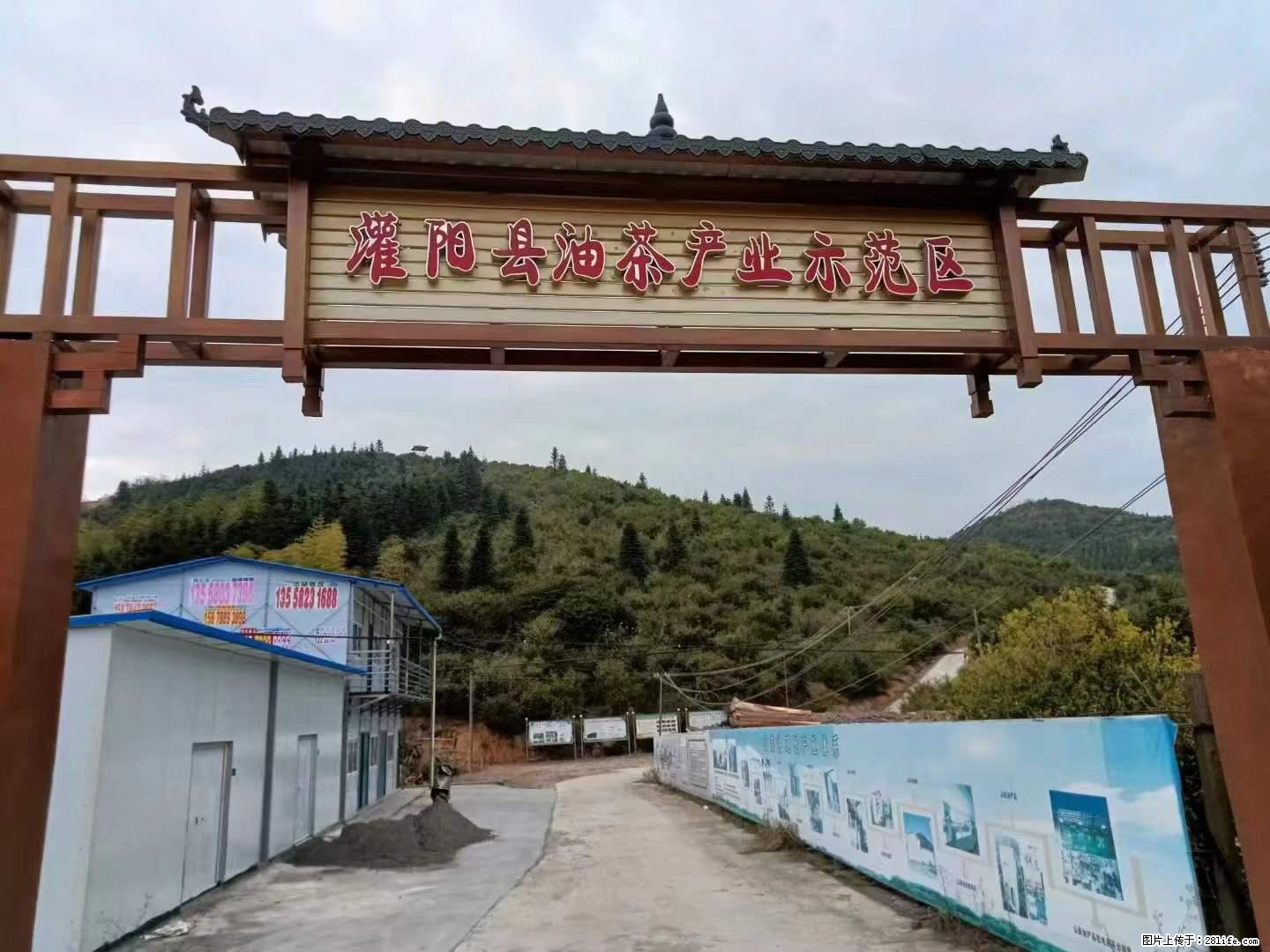 【灌阳县油茶产业示范区】一个有着充实的精神生活的人，对待身外之物自会有一种淡泊的态度 - 美食天地 - 固原生活社区 - 固原28生活网 guyuan.28life.com