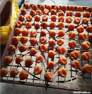 广西桂林平乐桥亭【柿饼之乡】2025年纯手工制作、无任何添加剂的第一批柿饼准备上市了，欢迎联系订购！ - 固原28生活网 guyuan.28life.com