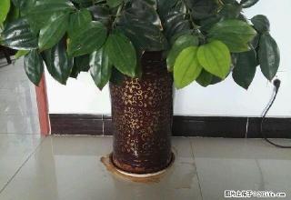 华祺公馆3室2厅1卫 - 固原28生活网 guyuan.28life.com