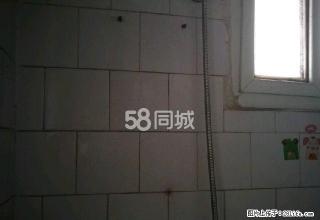 二医院家属院2室2厅1卫 - 固原28生活网 guyuan.28life.com