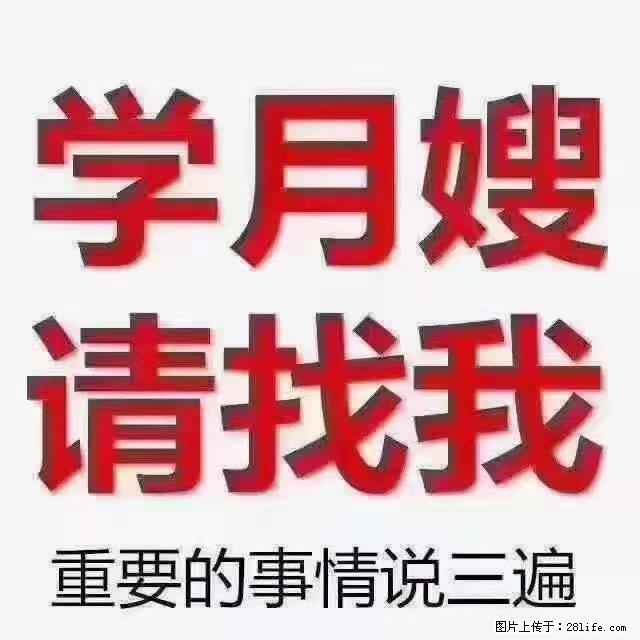 【招聘】月嫂,上海徐汇区 - 职场交流 - 固原生活社区 - 固原28生活网 guyuan.28life.com