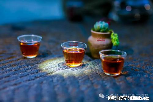 时间果百年古树2025年春红茶 - 购物交流 - 固原生活社区 - 固原28生活网 guyuan.28life.com