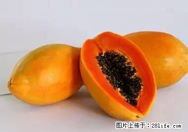 晕车、脚气、牙齿变黄、皮肤粗糙？学会这些三分钟搞定！ - 固原生活资讯 - 固原28生活网 guyuan.28life.com