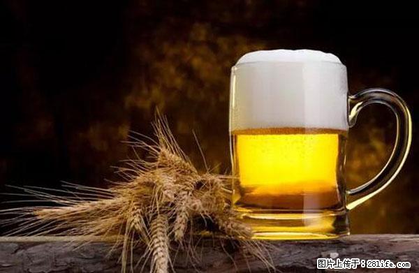 原来它这么毒，然而竟然满大街都是.... - 固原生活资讯 - 固原28生活网 guyuan.28life.com