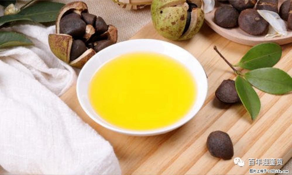 揭秘茶油的5大核心营养成分!被称为人体健康的“守护盾”! - 固原生活资讯 - 固原28生活网 guyuan.28life.com