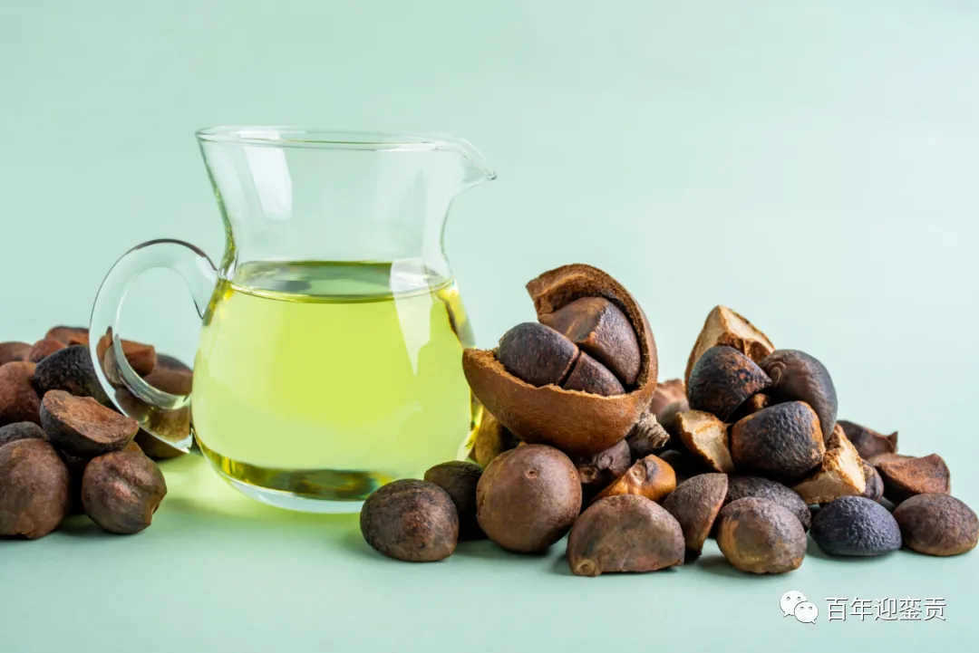 世界没有真相,只有认知,最好的食用油是中国的山茶油! - 固原生活资讯 - 固原28生活网 guyuan.28life.com