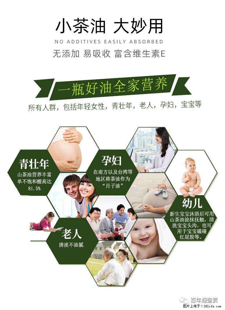 世界没有真相,只有认知,最好的食用油是中国的山茶油! - 固原生活资讯 - 固原28生活网 guyuan.28life.com