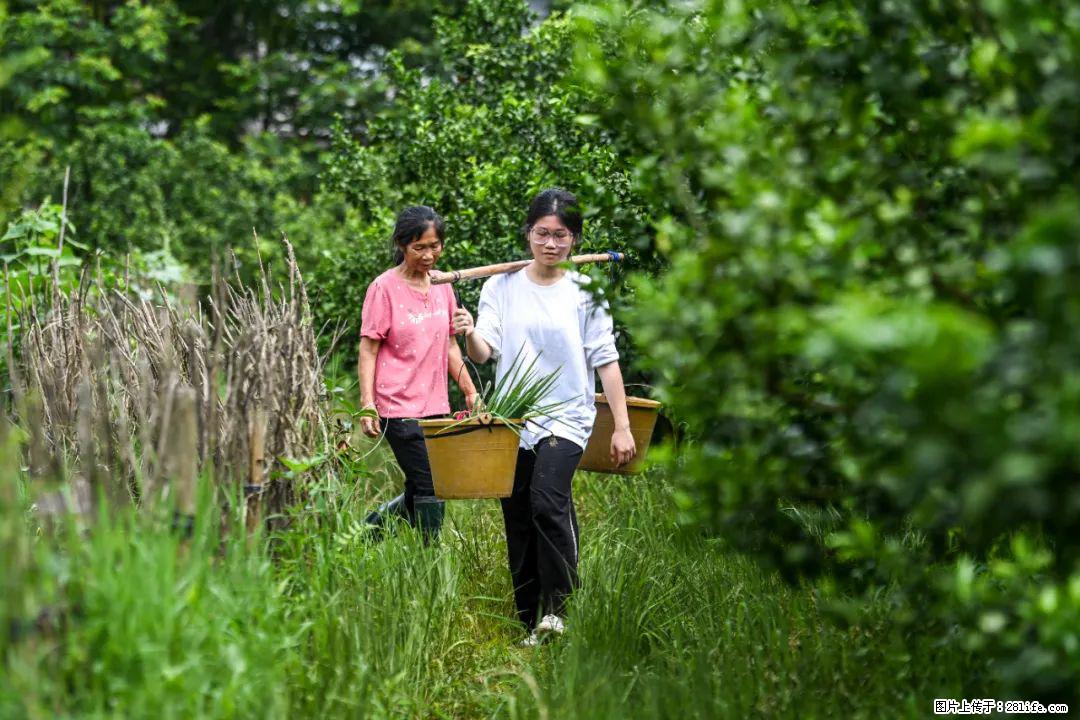 全网追的“扁担女孩”,找了一份暑假工,时薪12元 - 固原生活资讯 - 固原28生活网 guyuan.28life.com