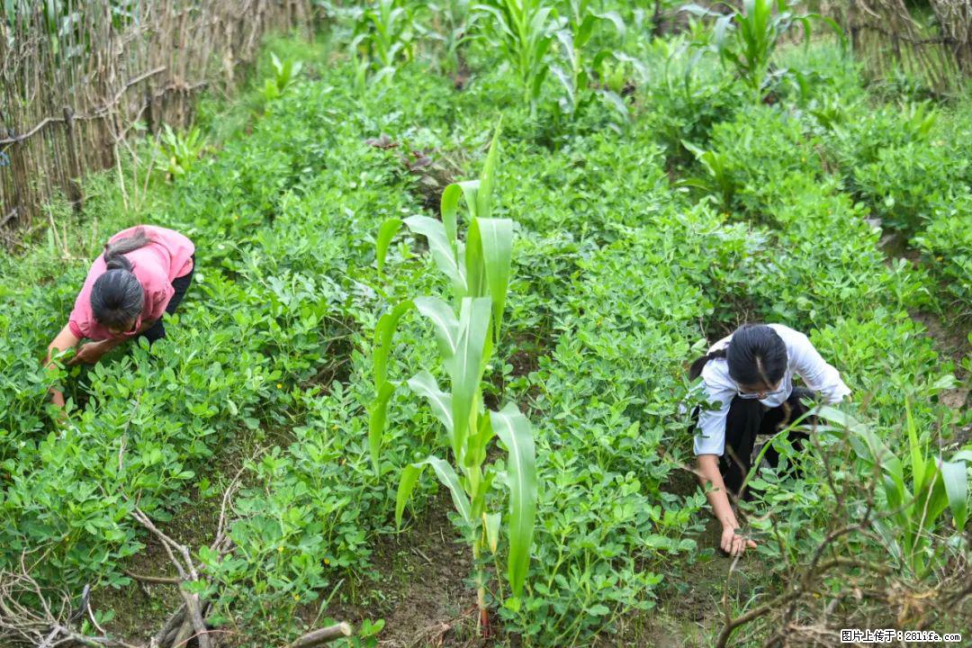 全网追的“扁担女孩”,找了一份暑假工,时薪12元 - 固原生活资讯 - 固原28生活网 guyuan.28life.com