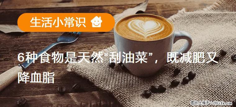 【生活小常识】6种食物是天然“刮油菜”,既减肥又降血脂 - 固原生活资讯 - 固原28生活网 guyuan.28life.com