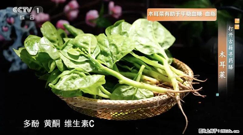 比牛奶补钙还厉害!凉血解毒、稳血糖...这菜冬天必吃,很多人却当草 - 固原生活资讯 - 固原28生活网 guyuan.28life.com