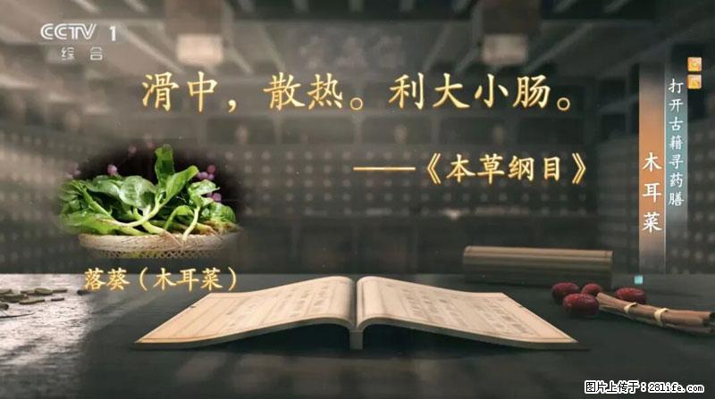 比牛奶补钙还厉害!凉血解毒、稳血糖...这菜冬天必吃,很多人却当草 - 固原生活资讯 - 固原28生活网 guyuan.28life.com