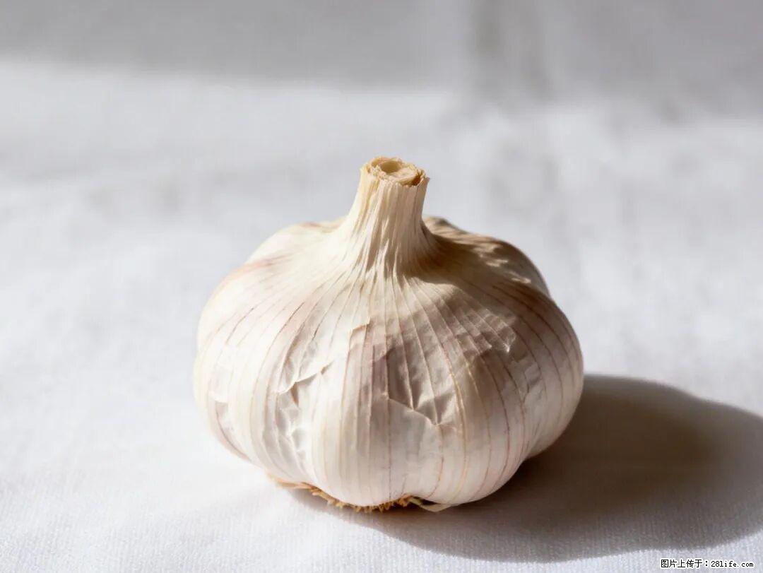 关于大蒜，除了“天然抗生素”，这4个谣言更该警惕! - 固原生活资讯 - 固原28生活网 guyuan.28life.com
