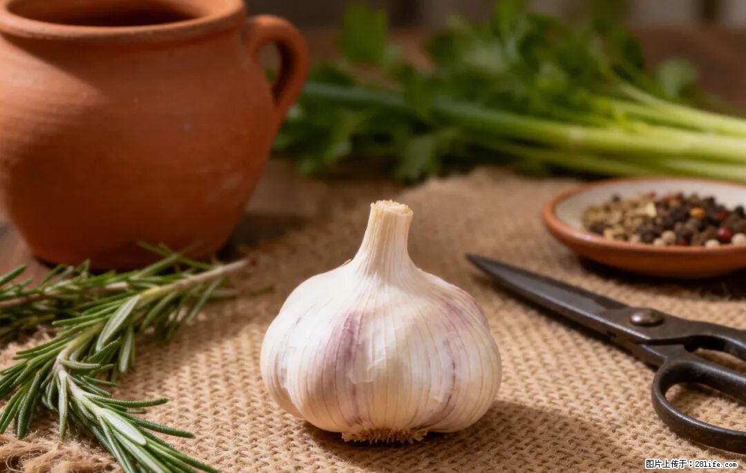 关于大蒜，除了“天然抗生素”，这4个谣言更该警惕! - 固原生活资讯 - 固原28生活网 guyuan.28life.com
