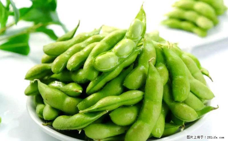 这些蔬菜是“天然钙片”，这6种被医生重点推荐 - 固原生活资讯 - 固原28生活网 guyuan.28life.com