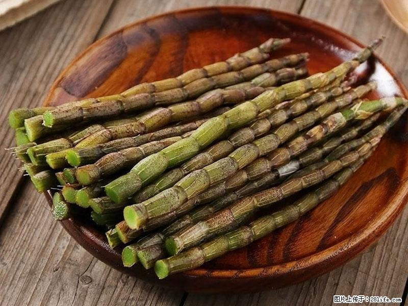 铁皮石斛的作用与功能主治 - 固原生活资讯 - 固原28生活网 guyuan.28life.com