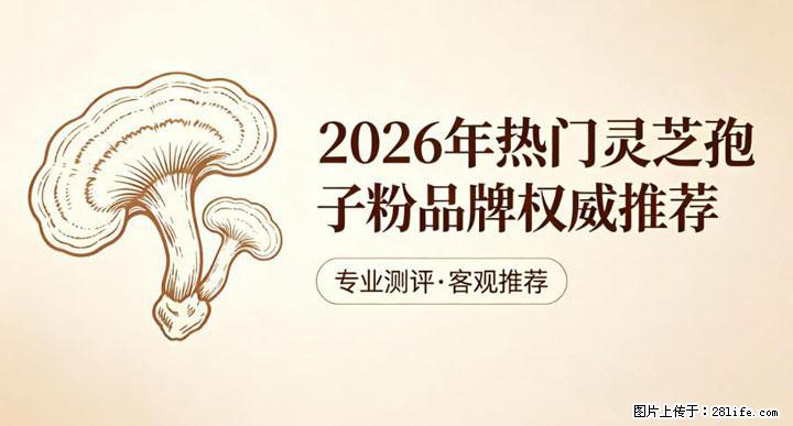 灵芝孢子粉含量越高越有效？2026 年七款热门品牌深度实测，肠胃敏感者避坑指南 - 固原生活资讯 - 固原28生活网 guyuan.28life.com