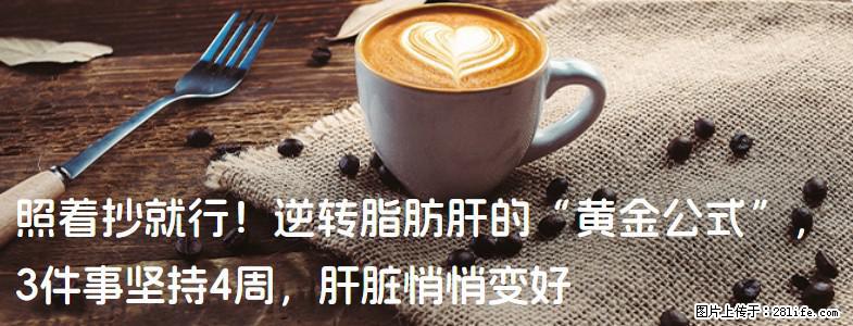 照着抄就行!逆转脂肪肝的“黄金公式”,3件事坚持4周,肝脏悄悄变好 - 固原生活资讯 - 固原28生活网 guyuan.28life.com