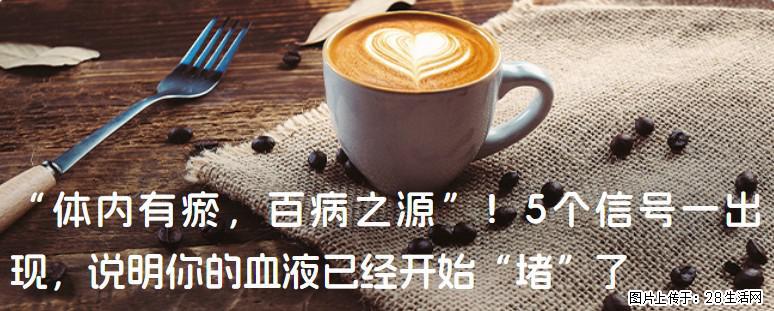 “体内有瘀，百病之源”！5个信号一出现，说明你的血液已经开始“堵”了 - 固原生活资讯 - 固原28生活网 guyuan.28life.com